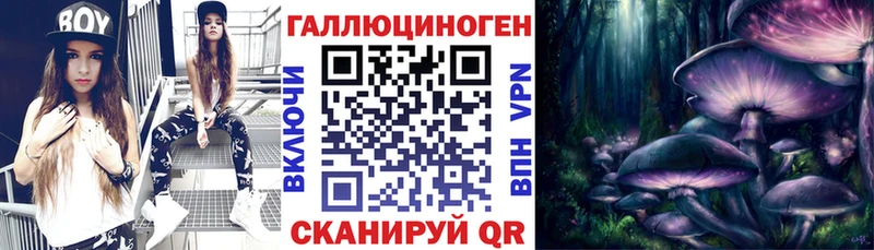 Галлюциногенные грибы мицелий  hydra как войти  Козловка 